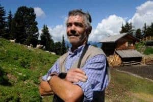 Schäfer auf der Alm im Zirbenwald