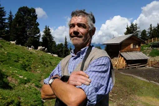 mann Schäfer auf der Alm im Zirbenwald