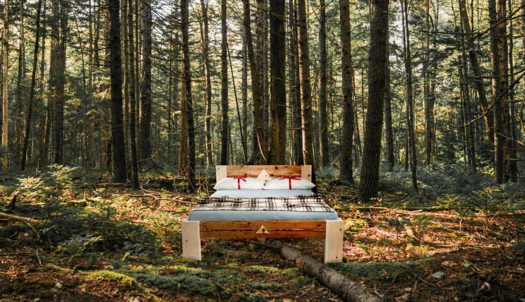 Zirben-Altholz-BETT - Modell ALPINE_Z
