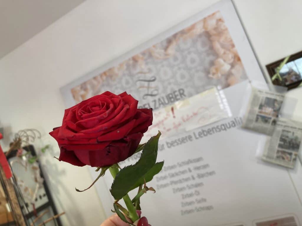 Rote Rose