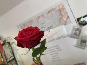 Rote Rose