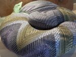 Zirben-Nackenkissen: ZirbenBreze (elastisch mit RV) – Bild 5