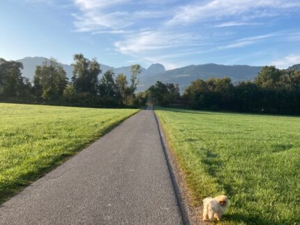 Barfuß-Erlebnis 2026: Barfuß gehen und ZirbenFußsalbe selbst herstellen – Bild 2