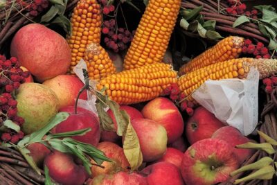 Erntedank: Korb mit Mais und Äpfel